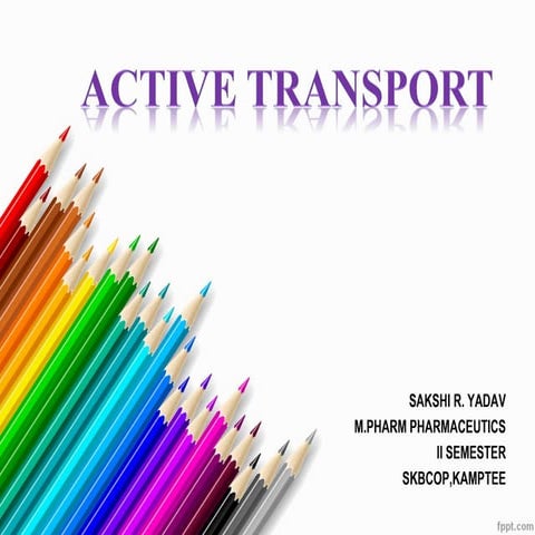 Active transporter 