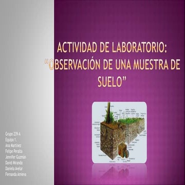 Actividad de-laboratorio