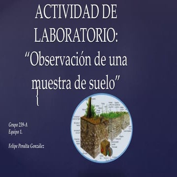 Actividad de-laboratorio suelo