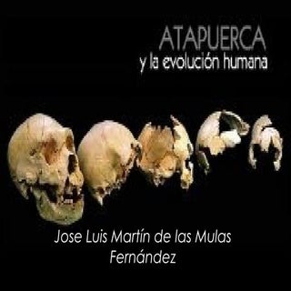 Actividad 12 yacimiento de ata puerca