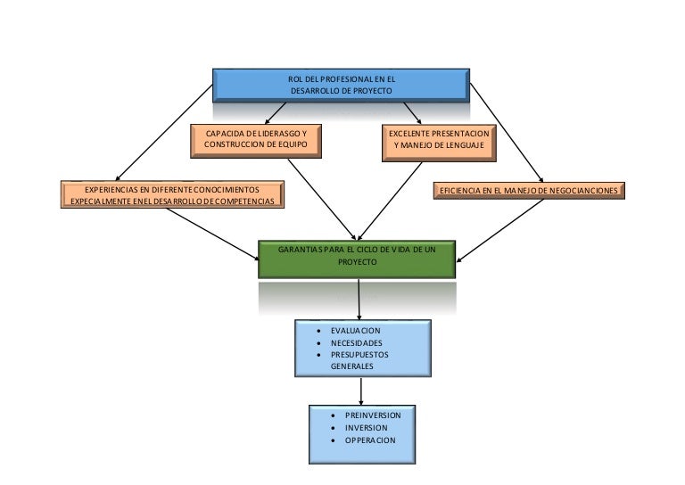 Actividad 1 mapa conceptual gerencia de proyecto