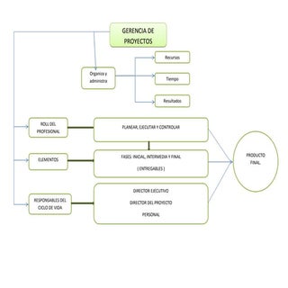 Actividad 1 mapa gerencia de p carlos