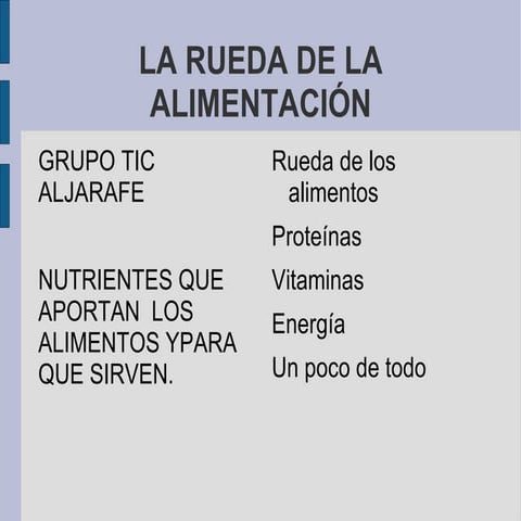 LA RUEDA DE LOS ALIMENTOS