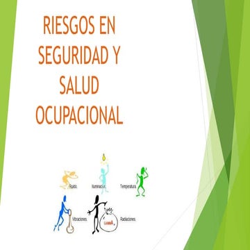 RIESGOS DE SEGURIDAD Y SALUD OCUPACIONAL