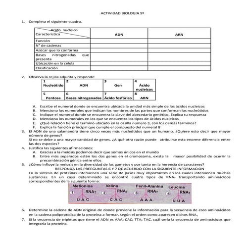 Actividad biologia 9º