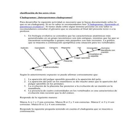 Actividad de clasificación y cladogramas