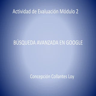 Actividad de Evaluación módulo 2