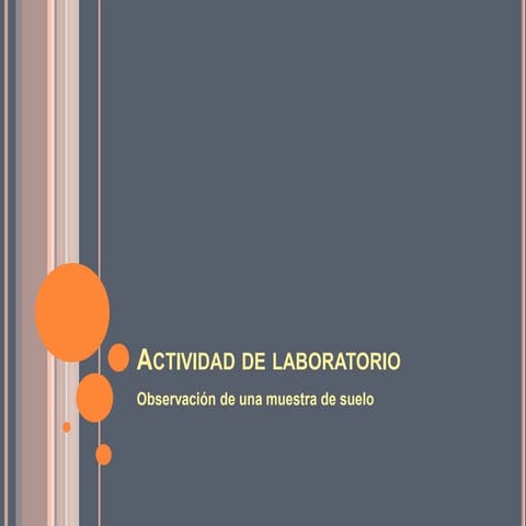 Actividad de laboratorio   observacion de una muestra de suelo