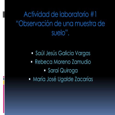Actividad de laboratorio #1 observacion de una muestra de suelo
