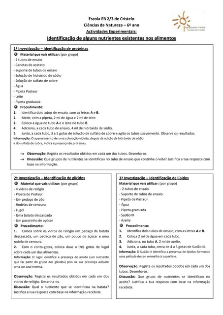Actividade experimental nutrientes