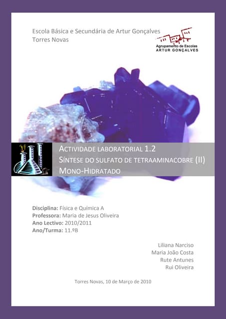 Actividade laboratorial 1.2  SÍNTES...