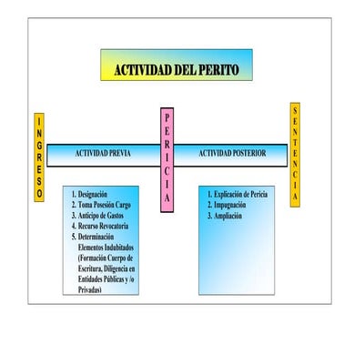 Actividades.perito
