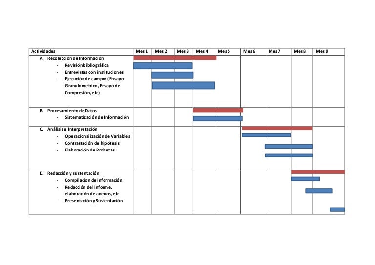 cronograma de investigacion