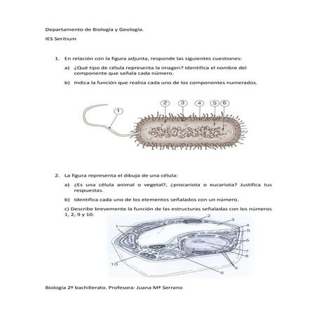 Actividades citologia  selectividad 14