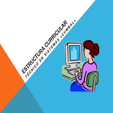 ESTRUCTURA CURRICULAR