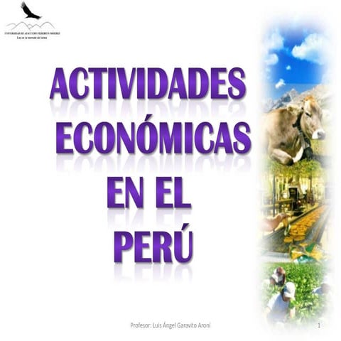 Actividades económicas