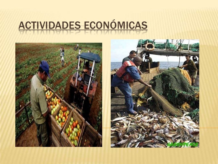 Actividades económicas agricultura Actividades económicas agricultura
