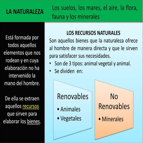 Actividades economicas final