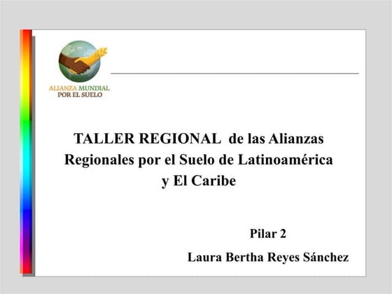 Pillar 2: Activities undertaken and results towards the pillars of action of ...