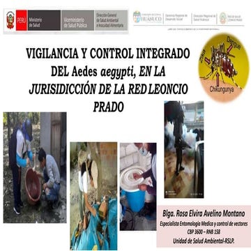 ADELGAZAMIENTO DE LA CAPA DE OZONO