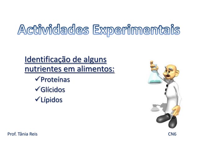 Actividades experimentais