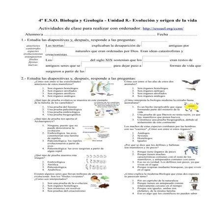 Actividades ordenador evolcion