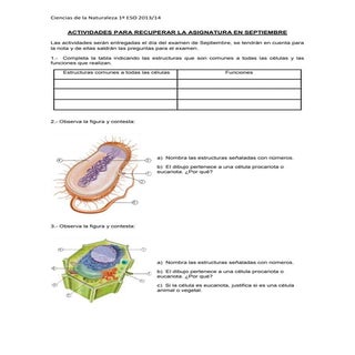 Actividades recuperación septiembre...