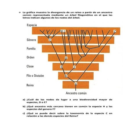 Actividades sobre el origen y evolución de la vida