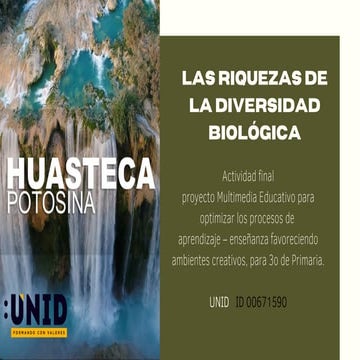 Actividad final presentación Huasteca Potosina para 3o primaria