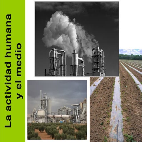 Actividad humana y medio