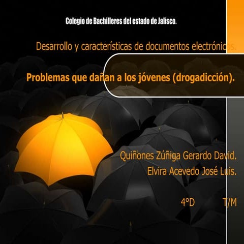 Actividad integradora