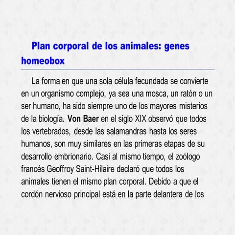 Actividad: Plan corporal y diferenciación celular lectura