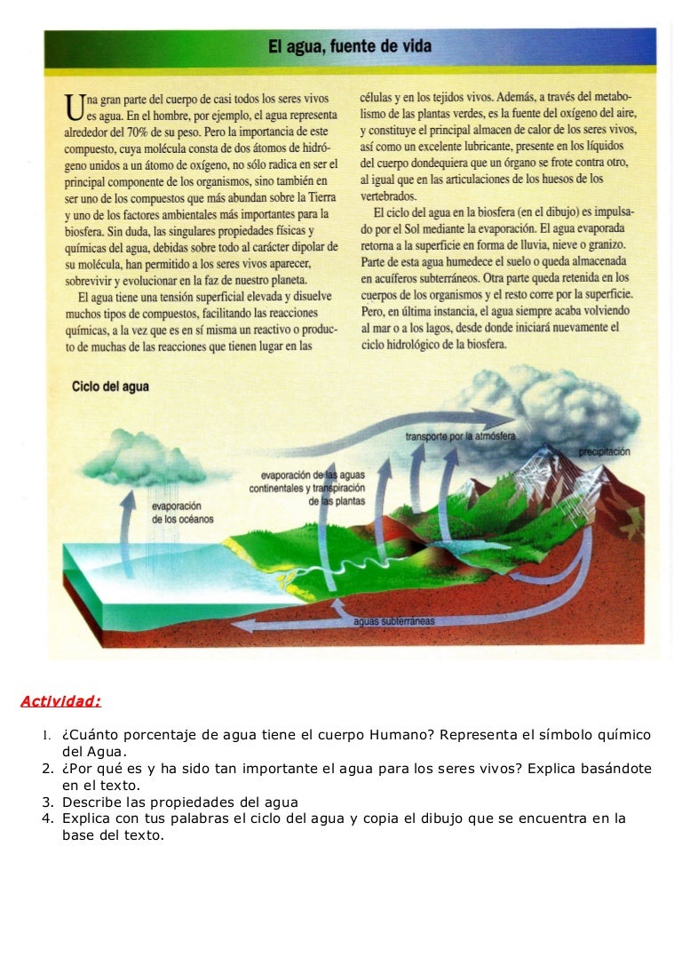 Actividad sobre el ciclo del agua y su importancia
