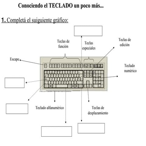Actividad teclado