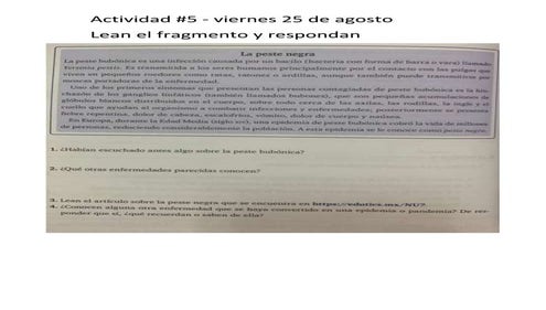 Actividad viernes 25 de agosto.docx