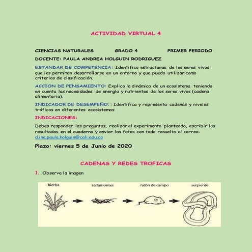 Actividad virtual 4 ciencias -cuarto | DOCX