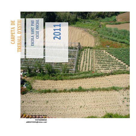 Activitats estiu 20112 cicleinicial