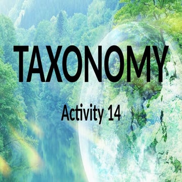 Taxonomy Phylogenic Tree Activity-14.pptx