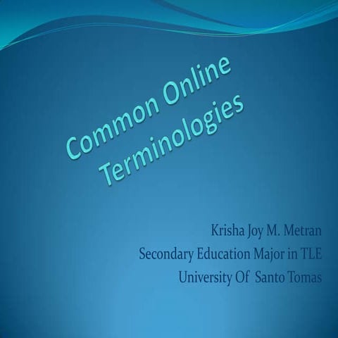  common online terminologies
