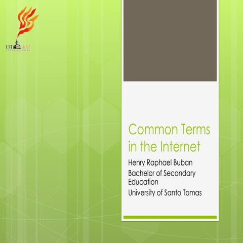 Definition of Internet Terms