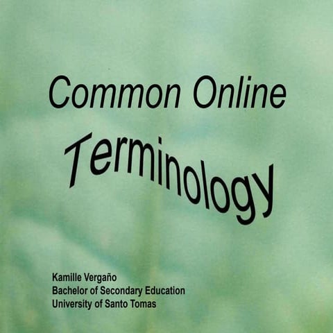 Activity 13 common online terminologies