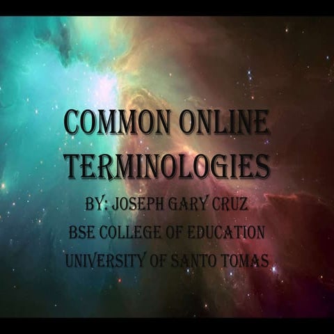 Activity 13 common online terminologies