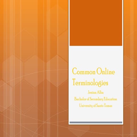Common Online Terminologies