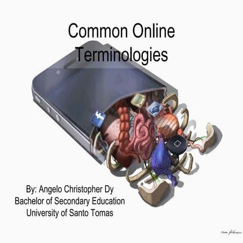Activity 13 Common Online Terminologies