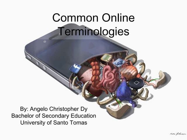 Activity 13 Common Online Terminologies