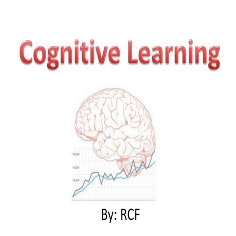 Activity 13 ppt project