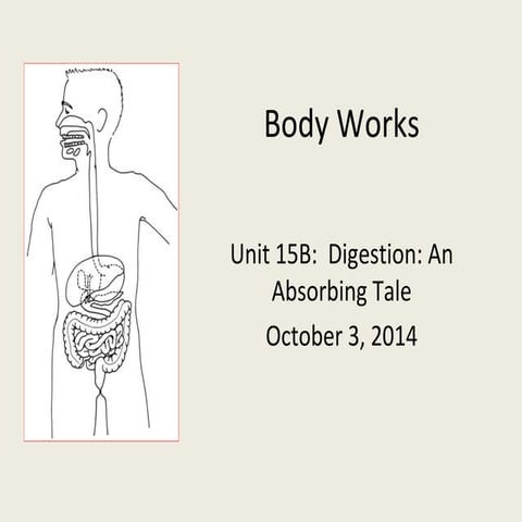 Activity 15 b digestion an absorbing tale ccss science&literacy