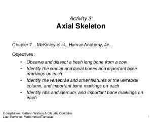 'axial skeleton' on SlideShare