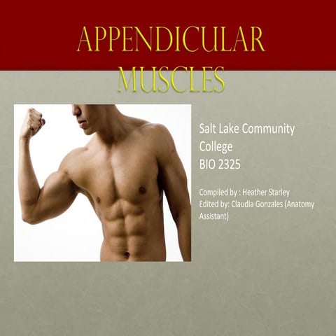Activity 5 appendicular muscles