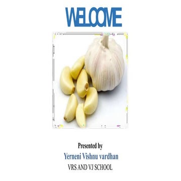 Activity on garlic | PPTX